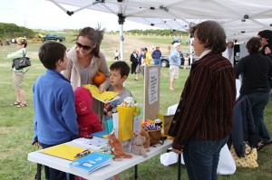 A Safe Place table at Island Fair