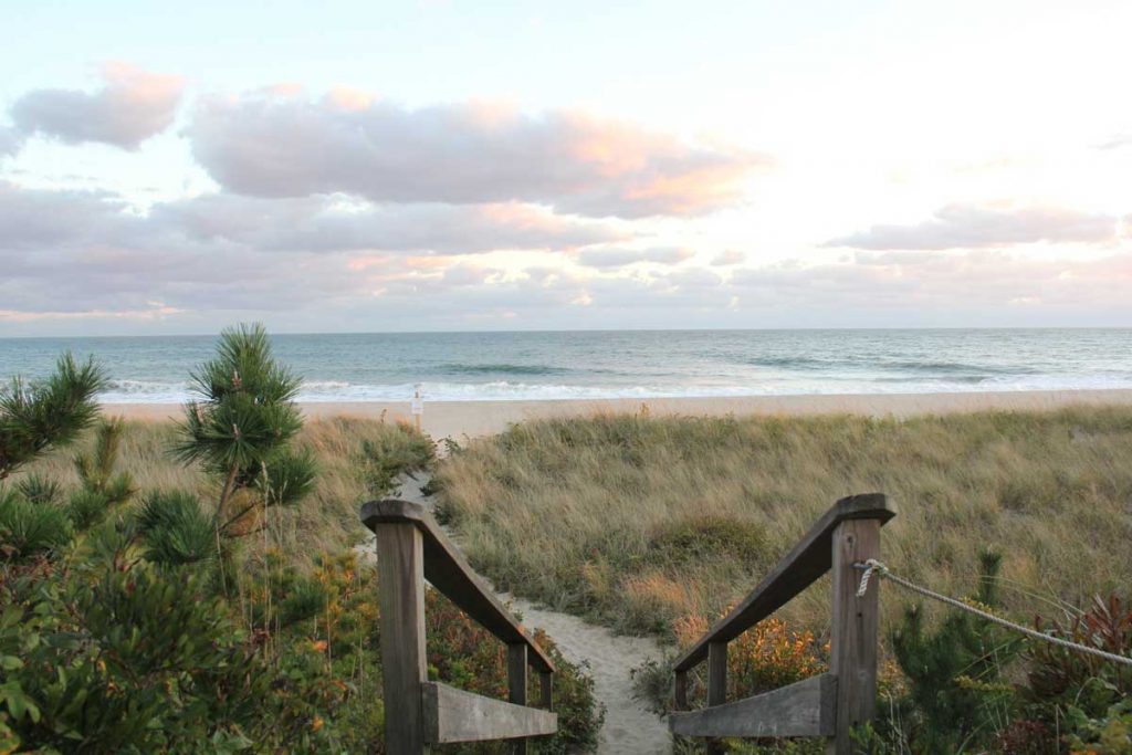 Woodend stairs leading down to a beach.